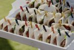 IMG_0833.jpg | Spread The Love Grazing Tables & Platters | North Shore | Auckland Spread The Love Chicken Taco's